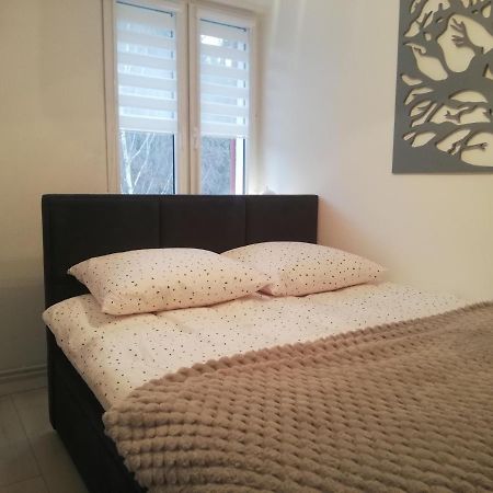 Apartament Stella Duszniki Zdrój Extérieur photo