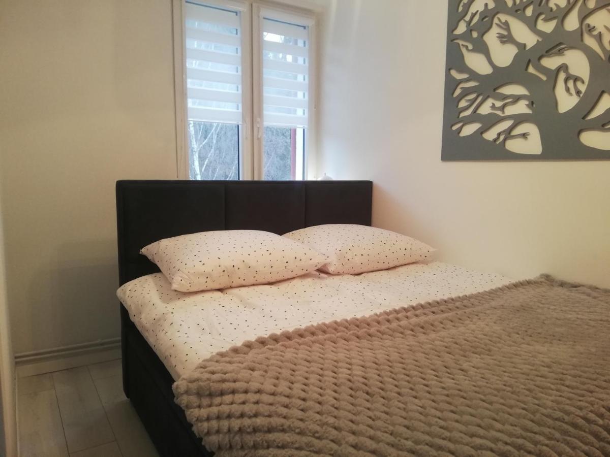 Apartament Stella Duszniki Zdrój Extérieur photo