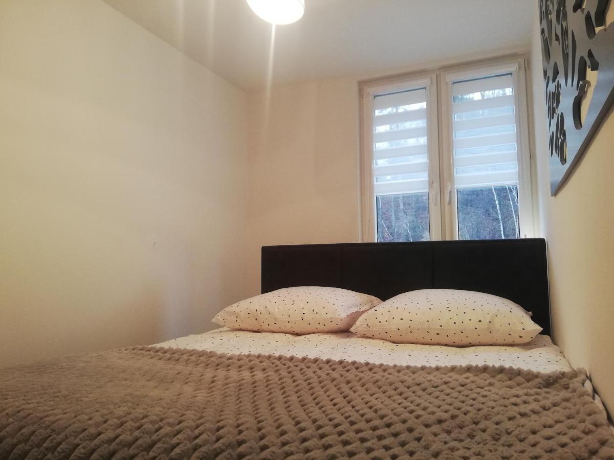 Apartament Stella Duszniki Zdrój Extérieur photo